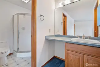 Primary bathroom with shower and vanity
