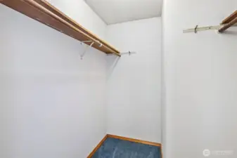 Walk-in closet in primary bedroom