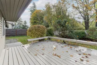 view of back yard and deck.
