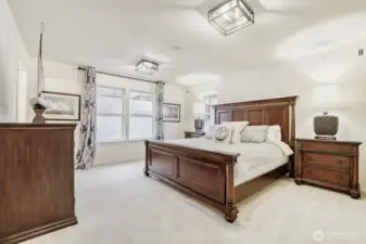 3rd floor primary bedroom has walk in closet and north facing windows