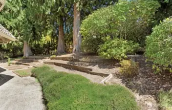 lovely manicured backyard