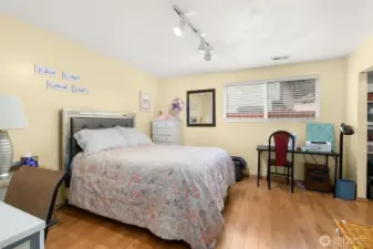 Lower level bedroom