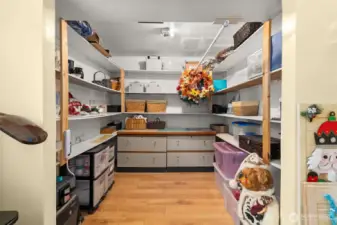 Lower level Bedroom closet