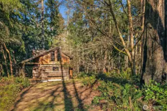 The property is lightly treed with mixed fir, maple and madrone.