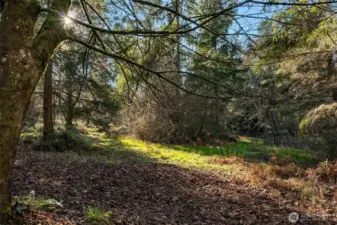 One can explore all day!