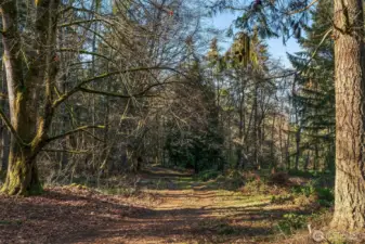 Looking west along the entrance driveway.