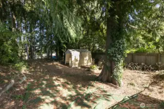 Looking north from the alley at the vacant lot.