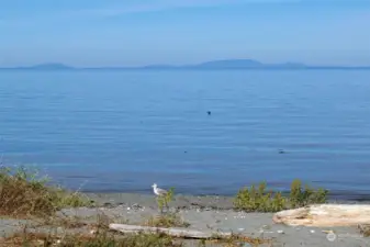 Sunland beach access