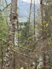 you are going to love it here.