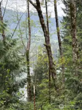 partial review on West Shore