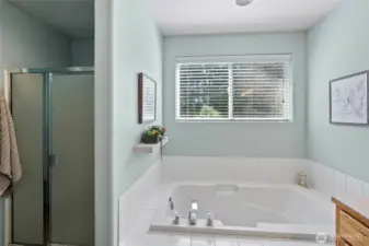 Primary bath with large tub