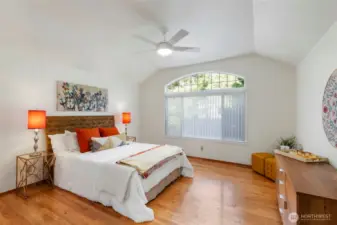 Primary suite with high ceilings, ceiling fan, hardwoods and custom blinds. Full bath & walk-in closet.