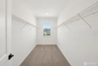 Actual house photos!