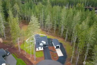 Nestled in your cozy slice of nature!