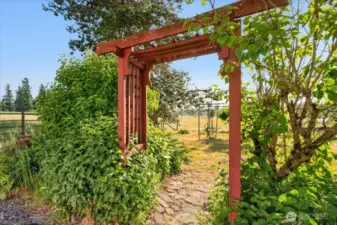 Lovely trellis leading to multiple fruit trees