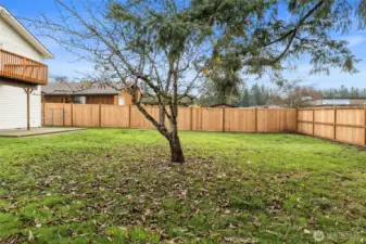 BRAND NEW BEAUTIFUL FENCE | This backyard provides the safety of being completely fenced in. The new fence will be good for years to come.