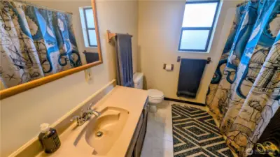 Full bathroom on lower level.