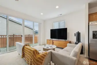 Family room, extra large slider