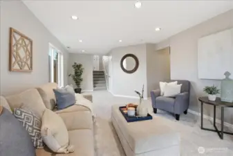 Spatious Lower level living - or Home Theatre?