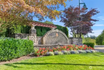 Montaine is a premier neighborhood with tree-lined streets, parks, a soccer field and trails to nearby Duthie Hill Mountain Bike Park.