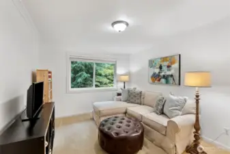 Bedroom 4, currently used as a cozy TV room.