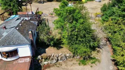 Mature fruit trees.  Apple, pear and cherry.