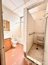 Lower level full bathroom.
