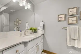 Lower level 3/4 bathroom easy access shower