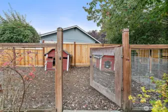 Fully fenced dog run with two dog houses.