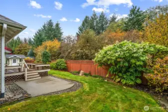 Backyard is fully fenced and backs to a greenbelt!