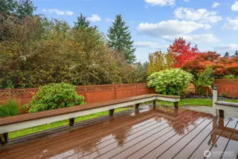 Deck is trex type decking!