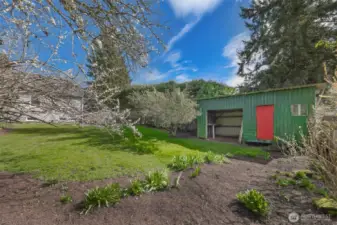 Backyard storage/garden shed.