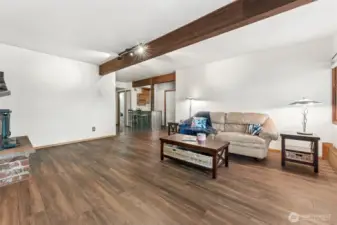 Downstairs family room