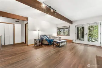 Downstairs family room