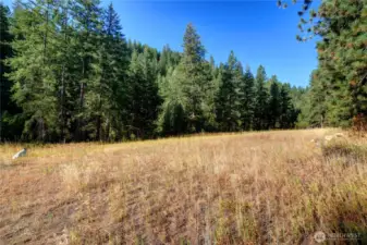 Two open meadows are on the property. Plenty of room for a garden.