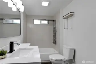 Lower level Bathroom