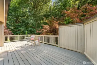 Huge back deck with privacy fence overlooks greenbelt