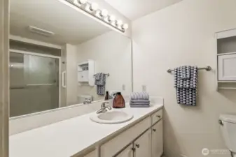 Convenient walk in shower