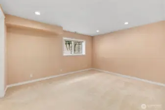Downstairs Guest Suite