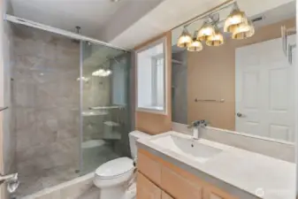 Downstairs Guest Suite Bathroom