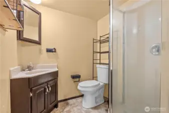 Lower Level Bathroom