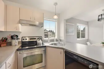 Views outside while washing the dishes!