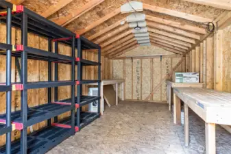 Shed Interior