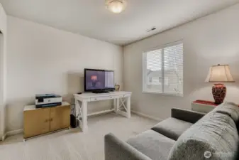 This is the 3rd bedroom, freshly painted and newer carpet.