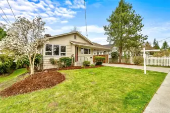 Established landscaping, big front yard