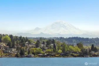 View of Mt. Rainier