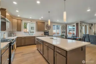 Chef's kitchen with large island