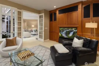 Theatre Room