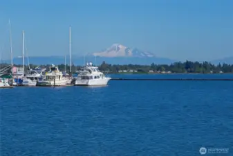 This Marina has it all plus an awesome location with the San Juan Islands, Canadian Gulf Islands, crabbing, fishing and a spectacular Mt Baker view!