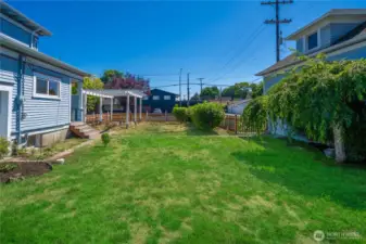 Fenced Back yard
